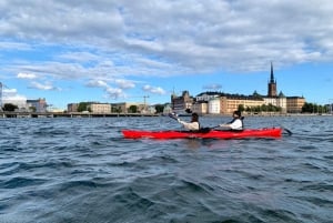 Stockholm: Eco-Friendly Guided Kayaking Tour of the City