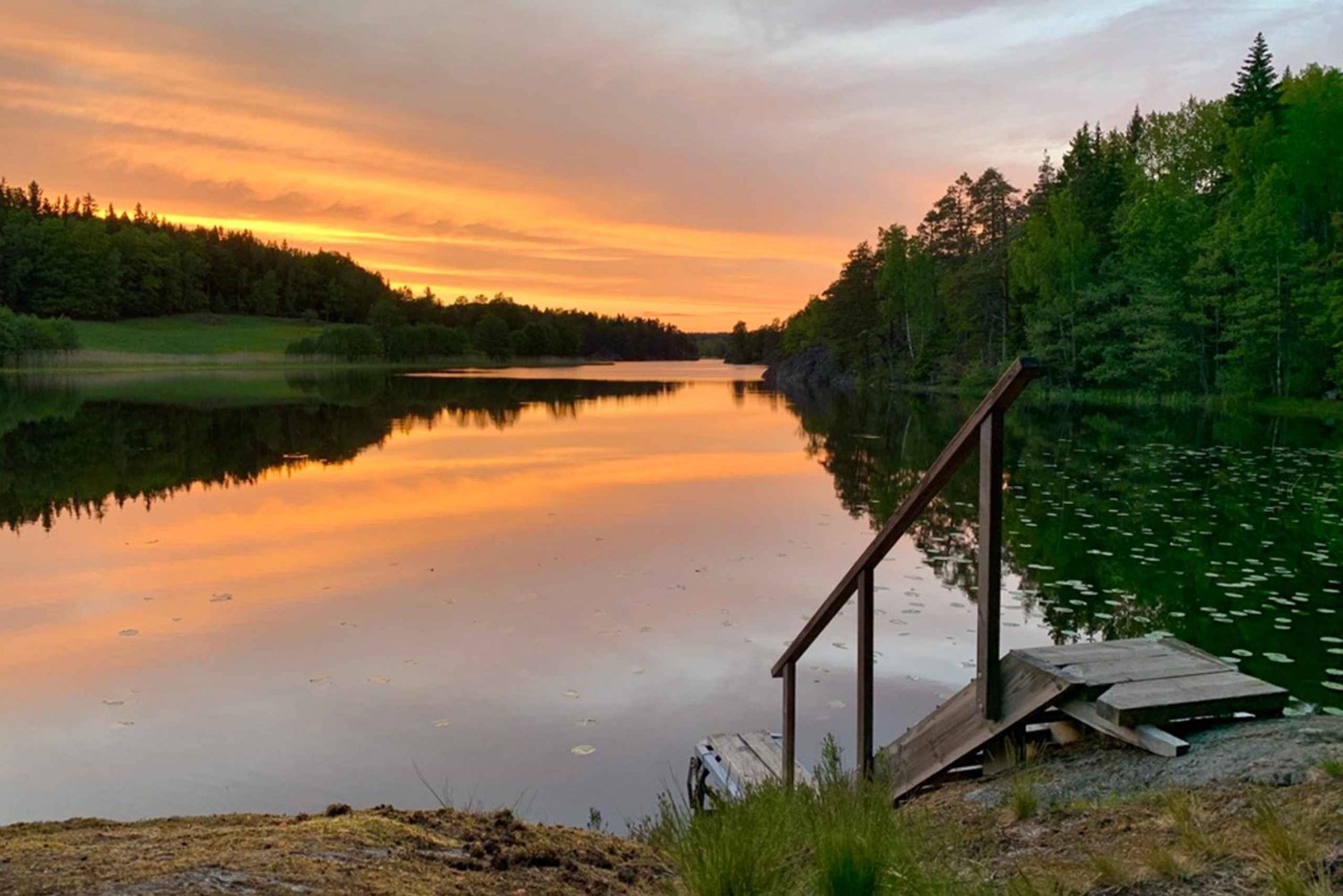Estocolmo: Caminhada à noite/pôr do sol no Parque Nacional Tyresta