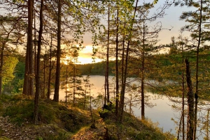 Stockholm : Randonnée en soirée et au coucher du soleil dans le parc national de Tyresta
