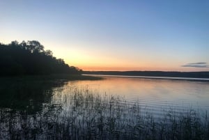 Stockholm: Aftensafari med dyreliv og midsommermåltid