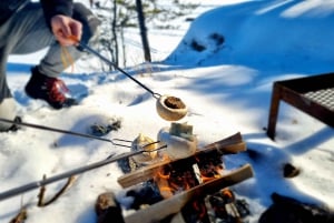 Estocolmo: Tour particular para famílias com patinação no gelo e almoço