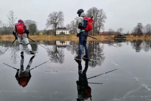 Estocolmo: Tour privado familiar sobre patines de hielo y almuerzo