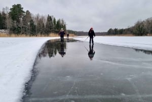 Stoccolma: Tour privato di pattinaggio sul ghiaccio e pranzo per famiglie
