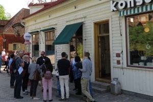 Stockholm: Family-Friendly Skansen Guided Tour