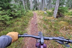 Stockholm: Fat Bike Forest Adventure with Lunch and Sauna