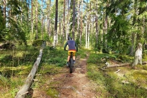 Stockholm: Fat Bike Forest Adventure with Lunch and Sauna