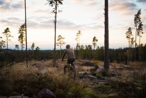 Stockholm: Fat Bike Forest Adventure with Lunch and Sauna