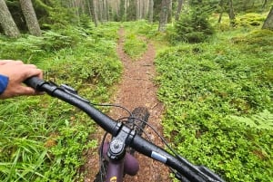 Stockholm: Fat Bike Forest Adventure with Lunch and Sauna