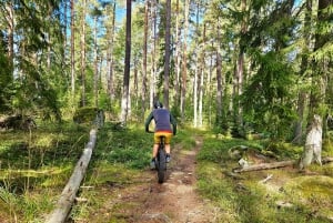 Stockholm: Fat Bike Forest Adventure with Lunch and Sauna