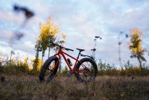 Stockholm: Fat Bike Forest Adventure with Lunch and Sauna