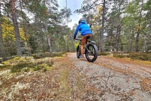 Stockholm: Fat Bike Forest Adventure with Lunch and Sauna