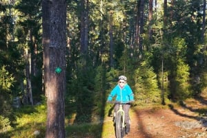 Estocolmo: Aventura na floresta de Fat Bike com almoço e sauna