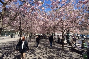 Stockholm : Première promenade de découverte et visite guidée de lecture