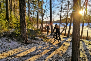 Estocolmo: Aventura en bicicleta de montaña por el bosque para principiantes