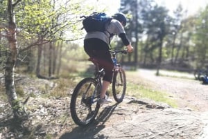 Stockholm: Mountainbikeäventyr i skogen för nybörjare