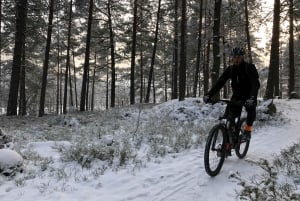 Stockholm: Forest Mountain Biking Adventure for Beginners