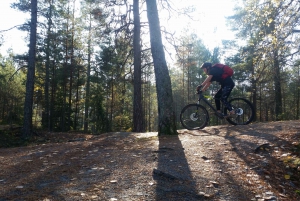 Stockholm: Forest Mountain Biking Adventure