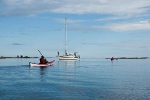 Stockholm : Journée complète d'aventure en kayak dans l'archipel