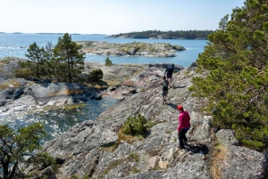 Estocolmo: aventura de caiaque no arquipélago de dia inteiro