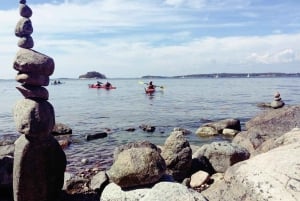 Stockholm: Ganztägiges Schären-Kajak-Abenteuer