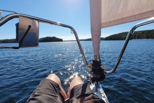 Stoccolma: tour in barca a vela dell'arcipelago di un'intera giornata con pranzo