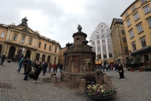 Estocolmo: Excursão turística guiada de 1 dia com almoço