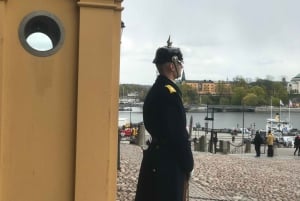 Stockholm: Guidad heldags sightseeingtur med lunch