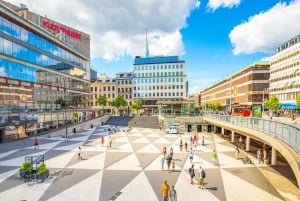 Excursão a pé por Gamla Stan em Estocolmo e cruzeiro guiado por Djurgården
