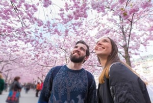 Tour a piedi di Stoccolma Gamla Stan e tour in battello di Djurgården