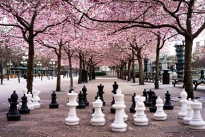 Tour a piedi di Stoccolma Gamla Stan e tour in battello di Djurgården