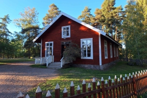 Estocolmo: tour guiado en grupo sobre el ejército y la escuela
