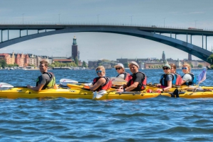 Estocolmo: tour guiado en kayak por la ciudad y comida de verano opcional