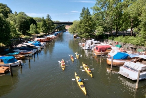 Stoccolma: tour in kayak e pasto opzionale di Mezza Estate