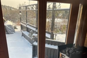 Stoccolma: sauna tradizionale guidata