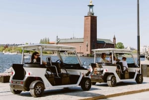 Stockholm Highlights by Golf Cart Tour