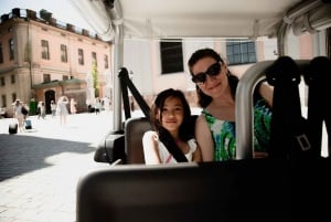 Stockholm Highlights by Golf Cart Tour