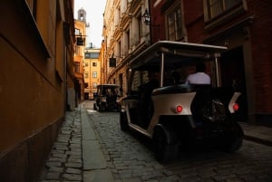 Stockholm Highlights by Golf Cart Tour