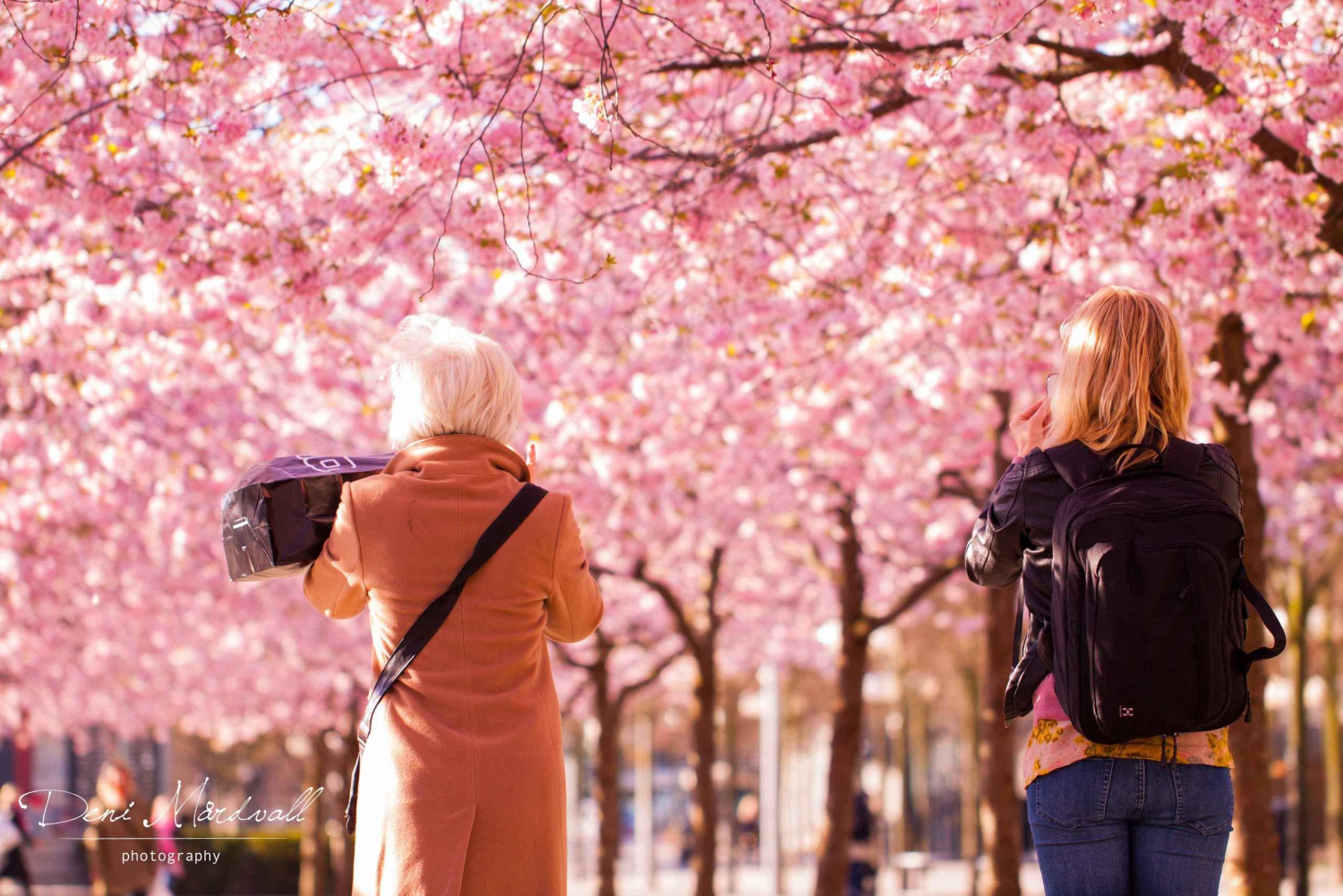 Stoccolma: Highlights Tour guidato a piedi