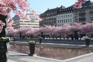 Stockholm : Visite guidée à pied des points forts