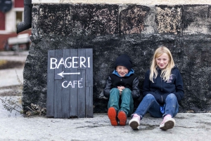 Stoccolma: Highlights Tour guidato a piedi