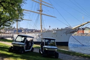 Stockholm Highlights by Golf Cart Tour