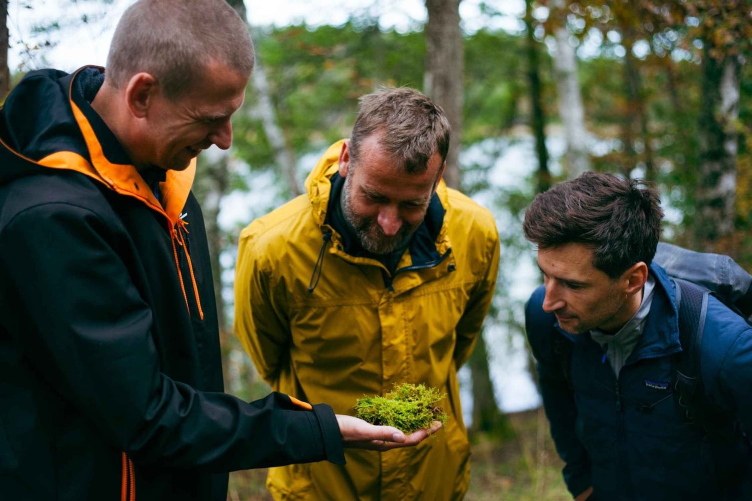 Stockholm : randonnée, déjeuner en forêt et flottaison en eau froide