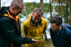 Stockholm : randonnée, déjeuner en forêt et flottaison en eau froide