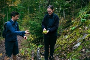 Stockholm : randonnée, déjeuner en forêt et flottaison en eau froide