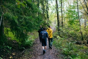 Stockholm : randonnée, déjeuner en forêt et flottaison en eau froide