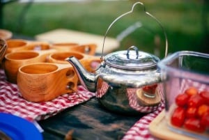 Stockholm : randonnée, déjeuner en forêt et flottaison en eau froide