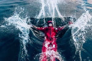 Stockholm : randonnée, déjeuner en forêt et flottaison en eau froide