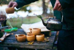 Stoccolma: escursione, cucina all'aperto e galleggiamento in acque fredde