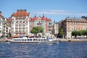 Stockholm hop on, hop off-rondvaartboot: 72 uur