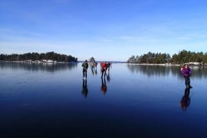 Stockholm: Skridskoåkning på naturis